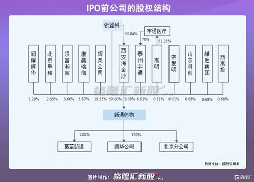 新通藥物沖刺科創板 尚未盈利的創新藥企，授權與合作開發模式下的機遇與挑戰